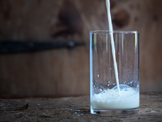 Nettkurs om cellesalt, melk og gluten